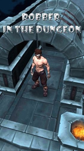 download Robber in the dungeon apk